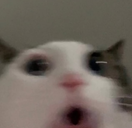 oooo
